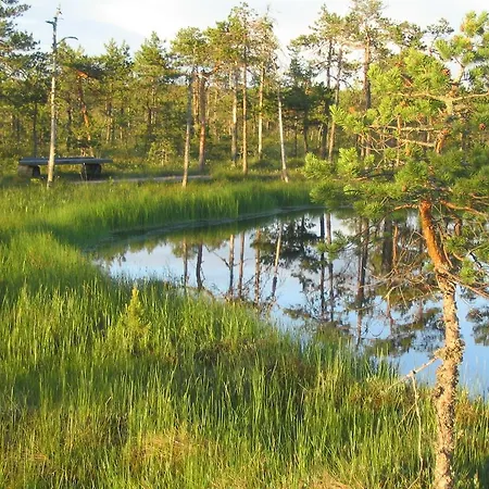 Lomaleivon Mokit Leivonmaki (Central Finland)
